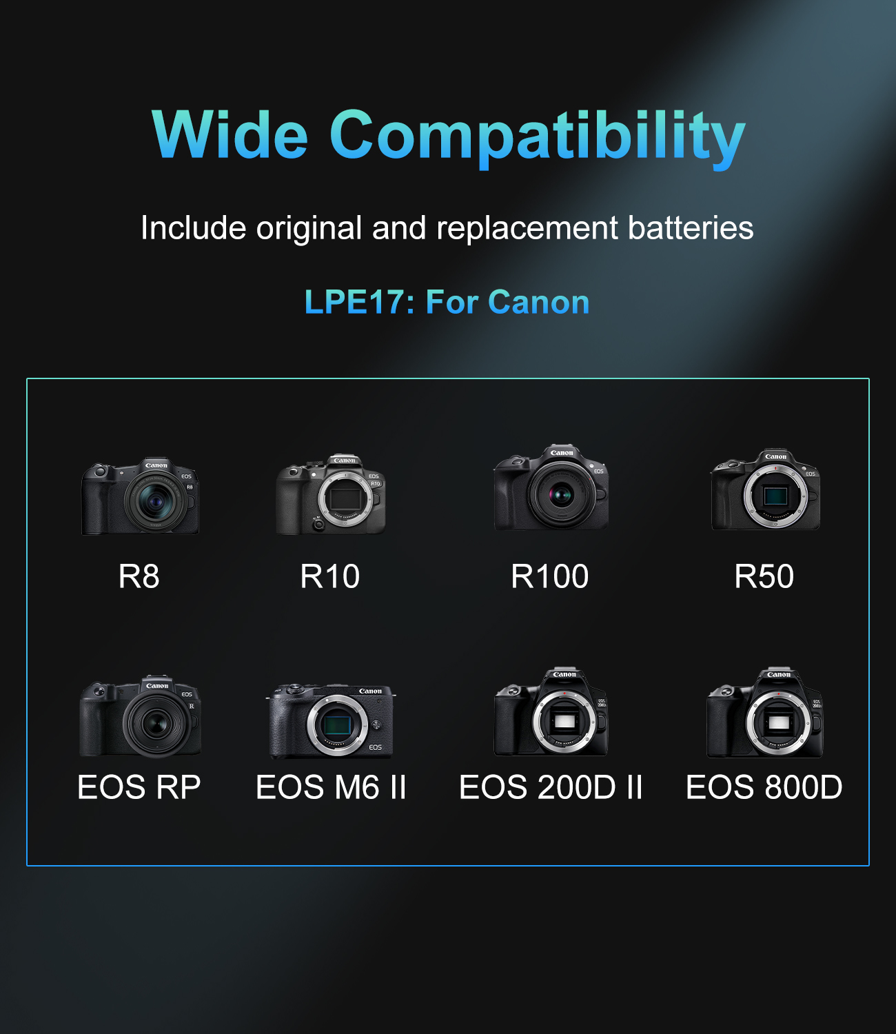 20W USB-C PD Dual Slot-oplader - Canon Camera Eos R8 recensie en prijs
